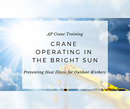 Crane Operating in the Bright Sun